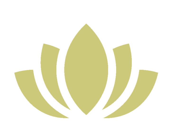 bellamedispa
